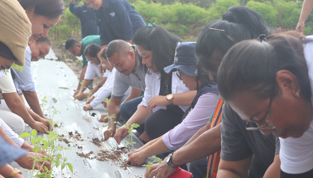 TP PKK TTU Dorong Kemandirian Pangan Melalui Aksi Tanam Sayur dan Diversifikasi Pertanian