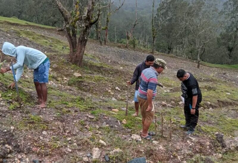 Wabup TTU Isi Libur Lebaran dengan Reboisasi di Jalur Sabuk Merah Mutis