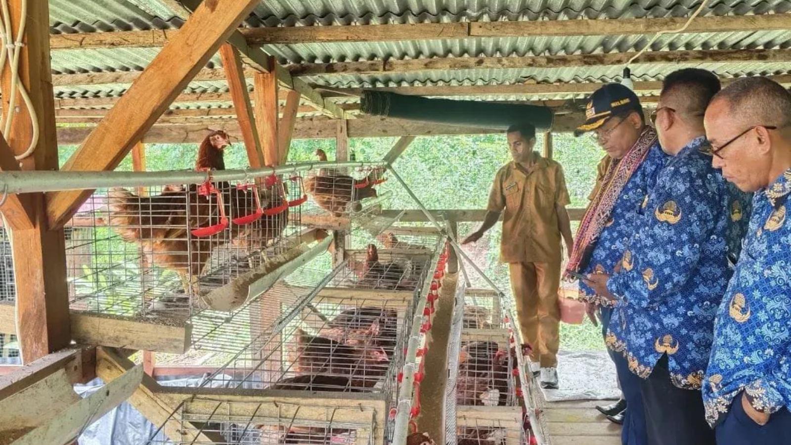 Wabup TTU Dorong Pengembangan Budidaya Lele dan Ayam Petelur di BUMDes Makun