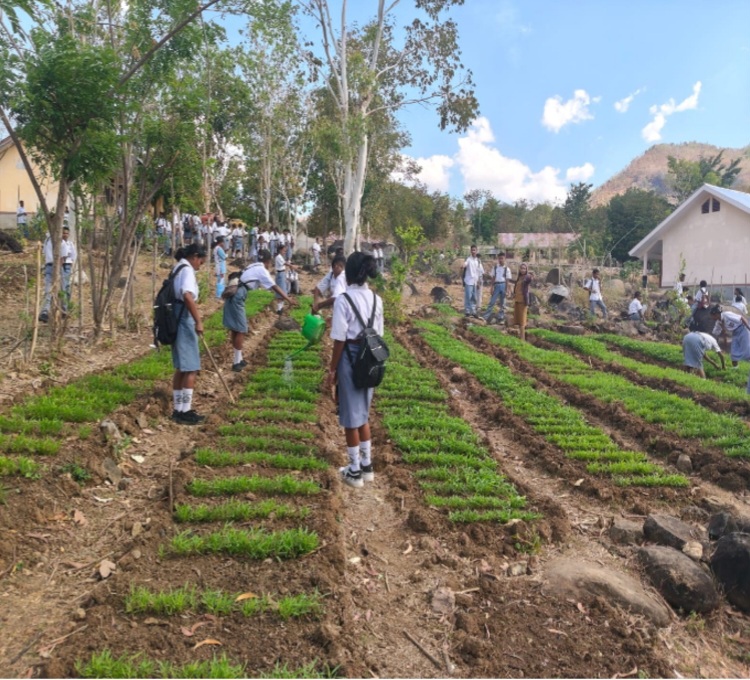 SMA Negeri Manamas Edukasi Siswa Cintai Lingkungan Lewat Kebun Sayur
